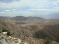 Joshua Tree NP
